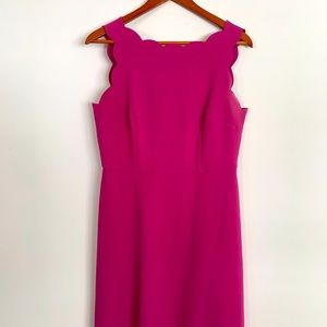 Loft Pink Scalloped Business Casual Dress